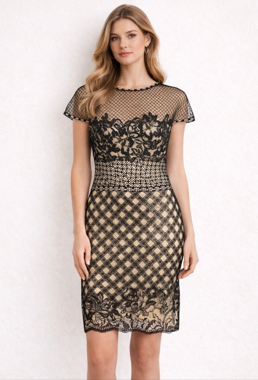 Tadashi Shoji Mixed Lace Illusion Sheath Dress Black Nude Size 8 Formal